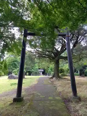 神明神社(神奈川県)