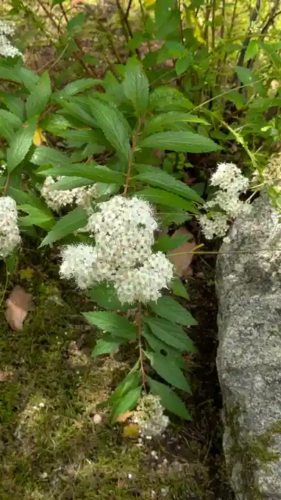 勝林寺(京都府)