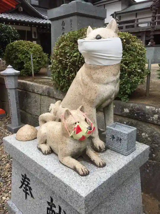 不動院(板橋不動尊)の狛犬