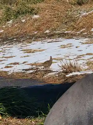 宝蔵寺(栃木県)