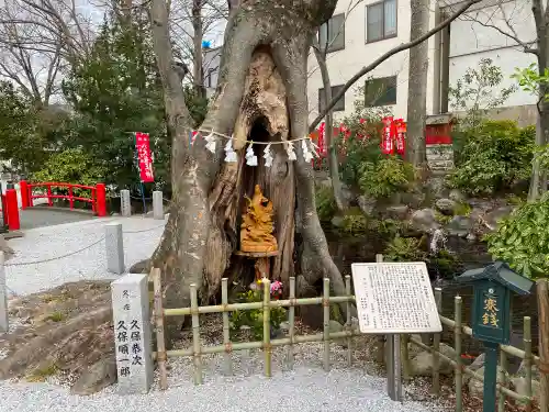 秩父今宮神社の自然