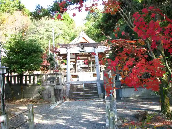 八幡神社(滋賀県)
