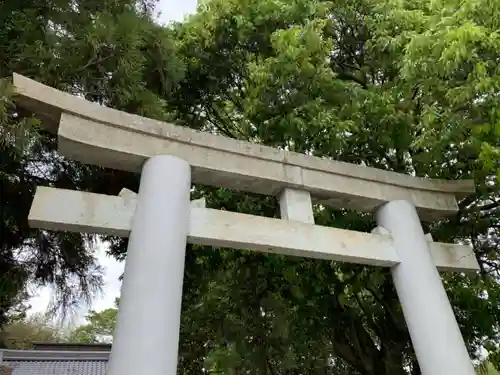 若一神社の鳥居