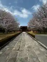 総持寺の{uncategorized: "未分類", other: "その他", undefined: "問題あり", building: "その他建物", grave: "お墓", sacred_gate: "鳥居", guardian: "狛犬", statue: "像", buddha: "仏像", history: "歴史", nature: "自然", garden: "庭園", animal: "動物", pagoda: "塔", temizu: "手水舎", mountain_gate: "山門・神門", sanctuary: "本殿・本堂", subordinate: "末社・摂社", art: "芸術", scenery: "景色", jizo: "地蔵", ema: "絵馬", goshuin: "御朱印", omikuji: "おみくじ", items: "授与品その他", amulet: "お守り", goshuincho: "御朱印帳", eats: "食事", festival: "お祭り", votive_dance: "神楽", shichigosan: "七五三参", wedding: "結婚式", experience: "体験その他", initially: "初詣", around: "周辺", anti_infection: "感染症対策"}