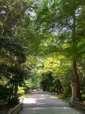 賀茂御祖神社（下鴨神社）(京都府)