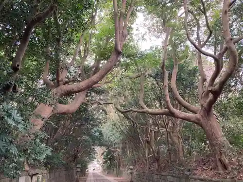酒列磯前神社の自然