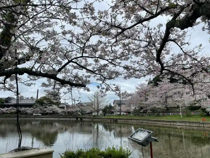 厳島神社 谷弁財天の{uncategorized: "未分類", other: "その他", undefined: "問題あり", building: "その他建物", grave: "お墓", sacred_gate: "鳥居", guardian: "狛犬", statue: "像", buddha: "仏像", history: "歴史", nature: "自然", garden: "庭園", animal: "動物", pagoda: "塔", temizu: "手水舎", mountain_gate: "山門・神門", sanctuary: "本殿・本堂", subordinate: "末社・摂社", art: "芸術", scenery: "景色", jizo: "地蔵", ema: "絵馬", goshuin: "御朱印", omikuji: "おみくじ", items: "授与品その他", amulet: "お守り", goshuincho: "御朱印帳", eats: "食事", festival: "お祭り", votive_dance: "神楽", shichigosan: "七五三参", wedding: "結婚式", experience: "体験その他", initially: "初詣", around: "周辺", anti_infection: "感染症対策"}