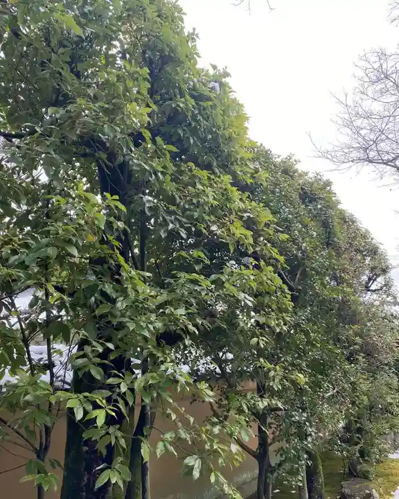 大光院(京都府)