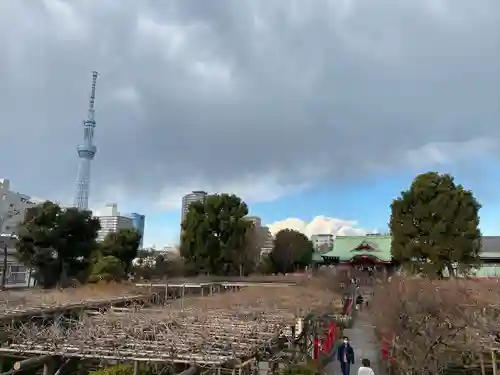 亀戸天神社の庭園