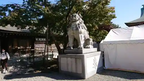 寒川神社の狛犬