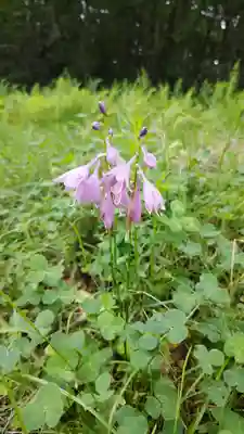 鹿島大神宮(福島県)