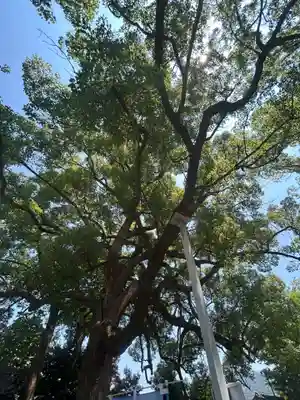 高忍日賣神社(愛媛県)