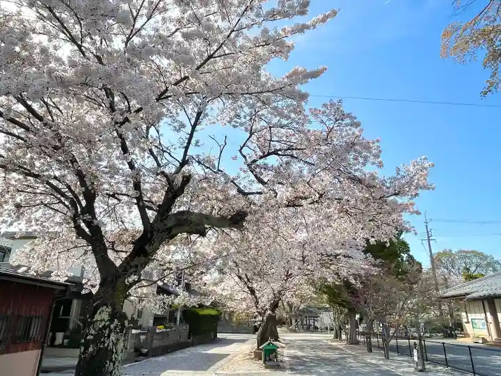 河脇神社(滋賀県)
