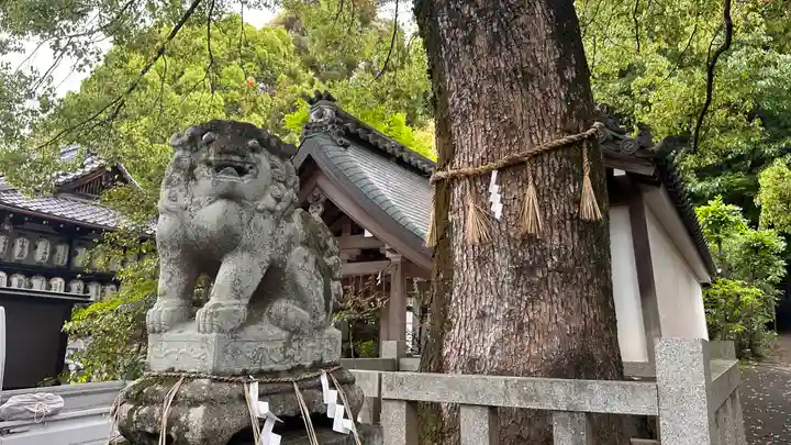岩屋神社(京都府)