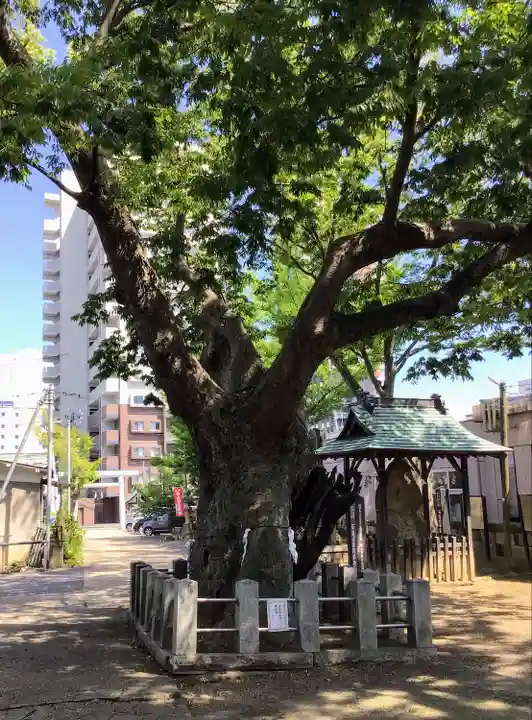 阿邪訶根神社の自然