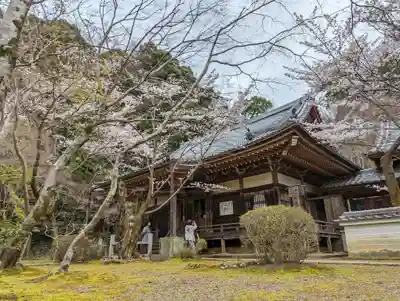 勝持寺（花の寺）(京都府)