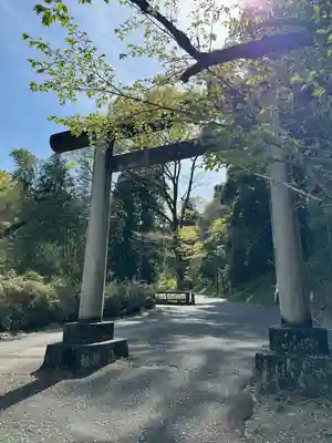 武蔵二宮 金鑚神社の鳥居