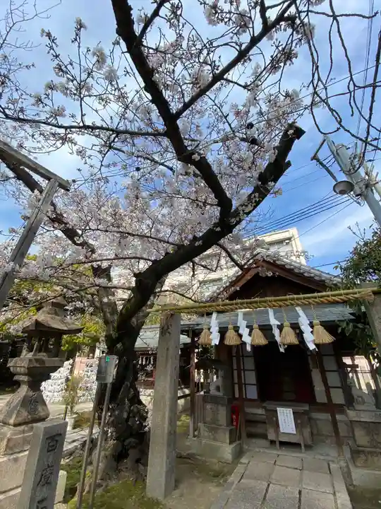 神明神社の自然