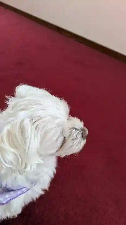 本昌寺(京都府)