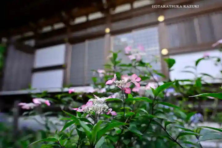 高幡不動尊 金剛寺(東京都)