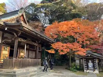 本土寺(千葉県)