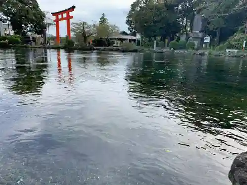 富士山本宮浅間大社の庭園