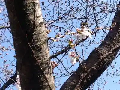 三谷稲荷社(水車稲荷社)(京都府)