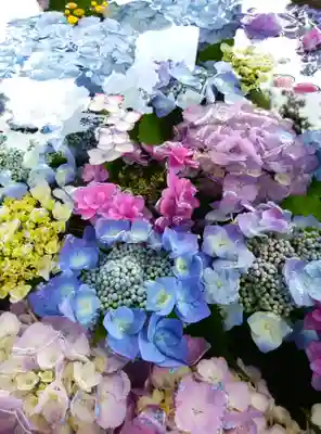 龍城神社の手水舎
