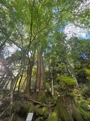 貴船神社奥宮(京都府)