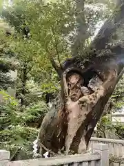 青渭神社の自然