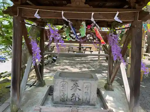 温泉神社〜いわき湯本温泉〜の手水