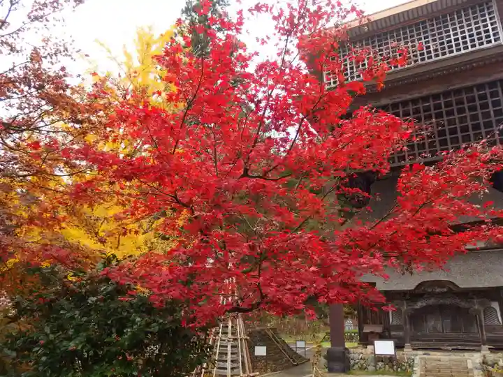 西福寺(新潟県)