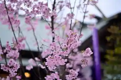 東京大神宮(東京都)
