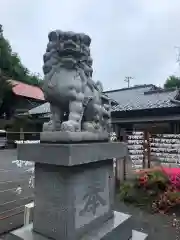 中氷川神社の狛犬