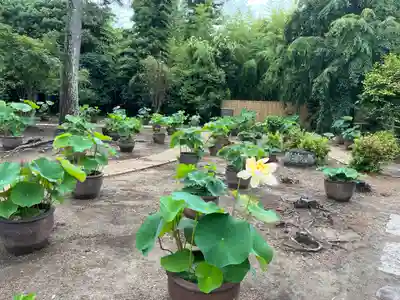 西大寺愛染堂(奈良県)