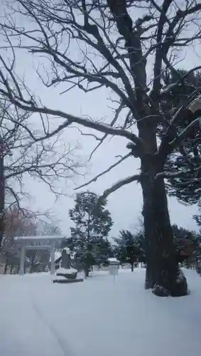 女満別神社のその他建物