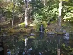 青龍山 吉祥寺の庭園