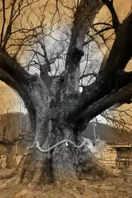 蟻無神社の自然