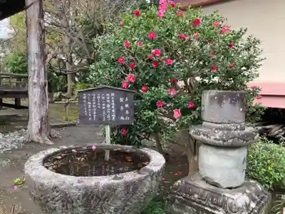 極楽寺（霊鷲山感應院極楽律寺）の手水舎