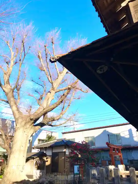 龍ケ崎八坂神社(茨城県)