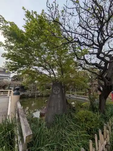 亀戸天神社(東京都)