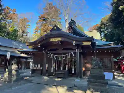 岩槻久伊豆神社(埼玉県)
