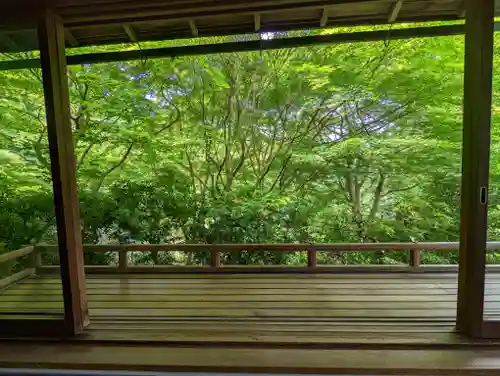 光明寺瑠璃光院(京都府)