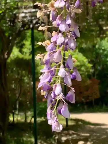 住吉神社(兵庫県)