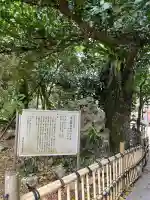 金武観音寺の{uncategorized: "未分類", other: "その他", undefined: "問題あり", building: "その他建物", grave: "お墓", sacred_gate: "鳥居", guardian: "狛犬", statue: "像", buddha: "仏像", history: "歴史", nature: "自然", garden: "庭園", animal: "動物", pagoda: "塔", temizu: "手水舎", mountain_gate: "山門・神門", sanctuary: "本殿・本堂", subordinate: "末社・摂社", art: "芸術", scenery: "景色", jizo: "地蔵", ema: "絵馬", goshuin: "御朱印", omikuji: "おみくじ", items: "授与品その他", amulet: "お守り", goshuincho: "御朱印帳", eats: "食事", festival: "お祭り", votive_dance: "神楽", shichigosan: "七五三参", wedding: "結婚式", experience: "体験その他", initially: "初詣", around: "周辺", anti_infection: "感染症対策"}
