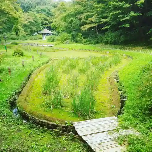 明治神宮の庭園