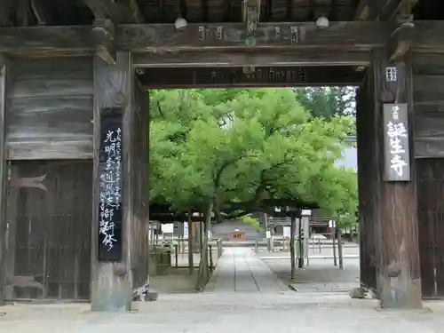 誕生寺の山門