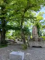 道明寺の{uncategorized: "未分類", other: "その他", undefined: "問題あり", building: "その他建物", grave: "お墓", sacred_gate: "鳥居", guardian: "狛犬", statue: "像", buddha: "仏像", history: "歴史", nature: "自然", garden: "庭園", animal: "動物", pagoda: "塔", temizu: "手水舎", mountain_gate: "山門・神門", sanctuary: "本殿・本堂", subordinate: "末社・摂社", art: "芸術", scenery: "景色", jizo: "地蔵", ema: "絵馬", goshuin: "御朱印", omikuji: "おみくじ", items: "授与品その他", amulet: "お守り", goshuincho: "御朱印帳", eats: "食事", festival: "お祭り", votive_dance: "神楽", shichigosan: "七五三参", wedding: "結婚式", experience: "体験その他", initially: "初詣", around: "周辺", anti_infection: "感染症対策"}
