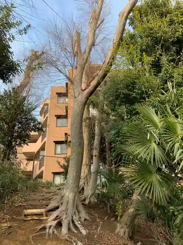 赤城神社の自然