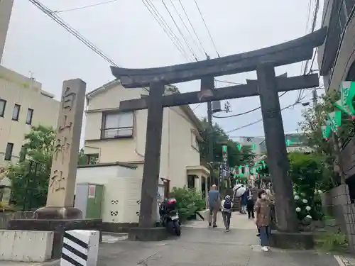 白山神社の鳥居